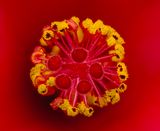 2025-05-31-16.18.32 ZS retouched_openWith.jpg