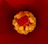 2025-06-03-11.03.56 ZS PMax_openWith.jpg