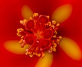 2025-06-19-13.41.46 ZS retouched_openWith.jpg