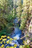 Little Qualicum river