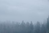 A foggy day