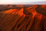 _DSC0893.jpg