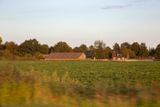IMG_10912.jpg