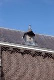 IMG_11000.jpg