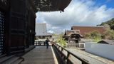 IMG_3875.JPEG