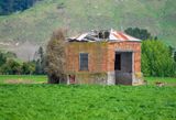 Disused Building in Shannon