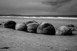 Moeraki boulders