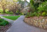 Central Park in Wellington