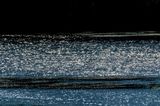 14 March 2023 - a walk along Lake Waitawa
