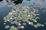 DSCF0703.jpg