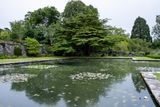 DSCF0712.jpg