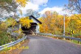 DOYLE RD COVERED BRIDGE_5591.jpg