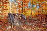 BLUE HEN FALLS BRIDGE_6518.jpg