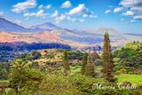 Somewhere On The Road-To-Hana_1167-.jpg