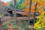 LANTERMANS COVERED BRIDGE-3180.jpg