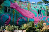 Squid House