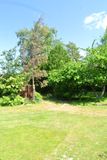 DSC_2697.JPG