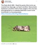 685.jpg