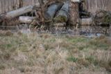 DSC_4455.JPG