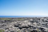 _DSC5839.JPG