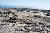_DSC5843.JPG