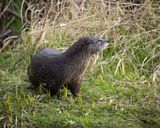 _DSC6894.JPG