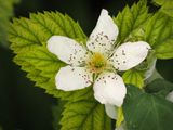 P4280960.jpg