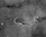 VdB 142, la Trompe de lElphant