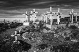 L1031319-Edit-Edit.jpg