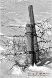 Fence Post in the Snow