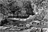 DSC_7807a.jpg