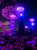  View from my spot on the ground at Gardens by Bay Rhapsody show