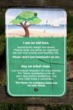 Old tree, no hammocks please!