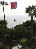  Paragliding pair with trees 