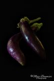 Japanese Eggplant 53141