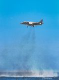 Harrier 54148