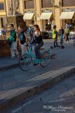 Florence 61913