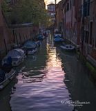 Venice 62755