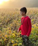 AJ in the soybean field at sunrise