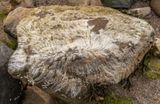 Filey IMG_2333.jpg