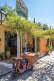 Vasiliki IMG_1620.jpg