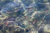 Fiskardo IMG_1436.jpg