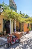 Vasiliki IMG_1620.jpg