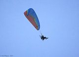 Paraglider