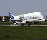 Beluga F-GXLI
