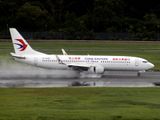 B737-800(WL) B-208D