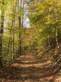 IMG_5593.JPG