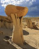 0013-3B9A8308-Mushroom Rock in the Ah-Shi-Sle-Pah Wilderness Area.jpg
