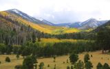 0041-3B9A6502-Lockett Meadow Autumn Views.jpg