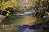 0065-3B9A8793-Colors of Autumn in Northern Arizona.jpg